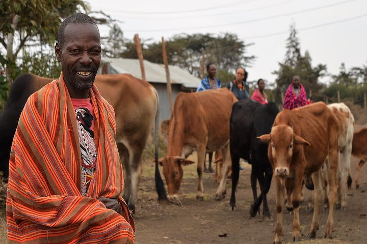 Lonely Planet Experiences: Private Day Tour with the Maasai Tribe image