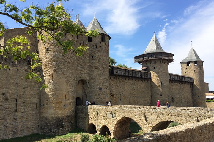 Day tour to the Cité de Carcassonne and wine tour. Shared tour from Toulouse. image