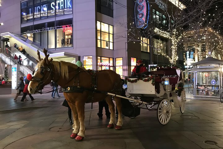 Holiday Lights & History Walking Tour image