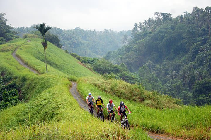 Best Taro - Ubud Bali Bicycle Tours image