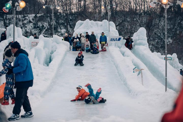 Explore Shikotsu Ice Festival (day tour) image