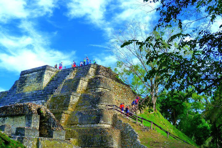 Private Altun Ha Maya Ruin & Cave Tubing Adventure From Belize City image