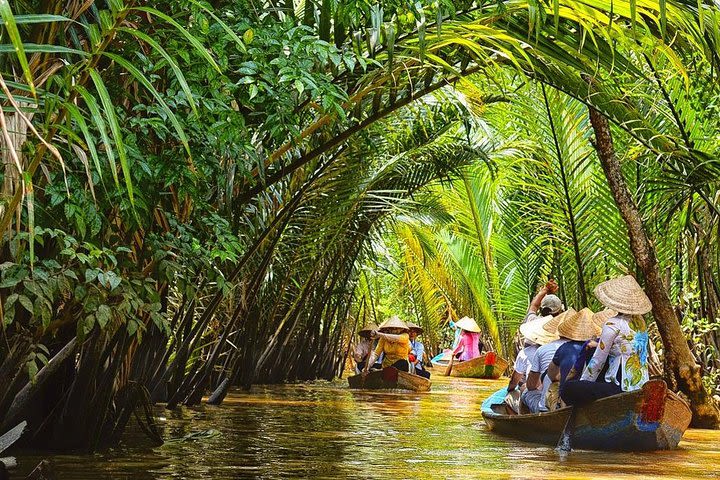 1 day tour from Can Tho to Ben Tre - King coconut trees - come back / to Sai Gon image