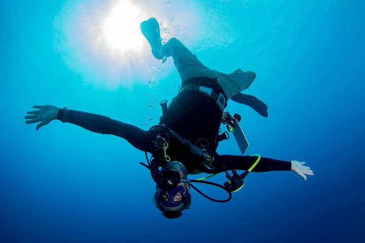 2 Tank guided shore dive image