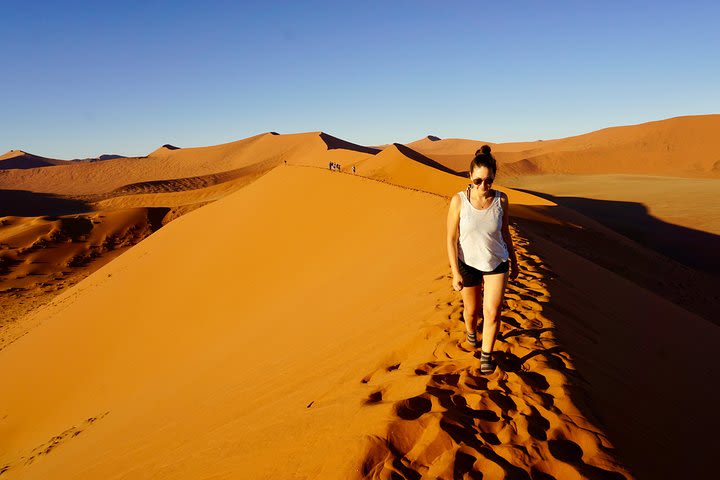 19-Day Desert Tracker Adventure Accommodated Tour from Cape Town image