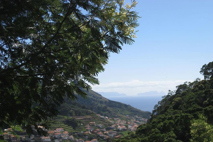 Maroços Mimosa Valley Levada Walk from Funchal image