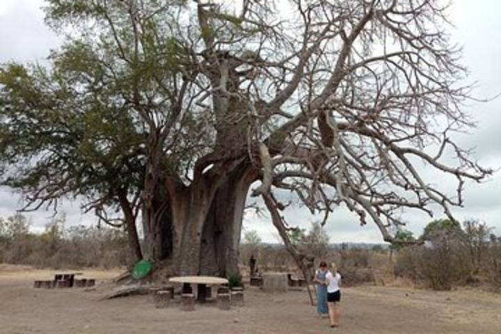 13 Days South and Eastern Tanzania Safari and Historical Sites. image