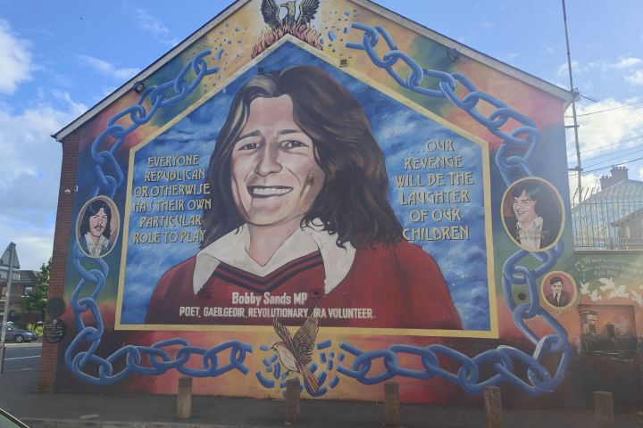 Private Belfast Black Taxi Tour  image