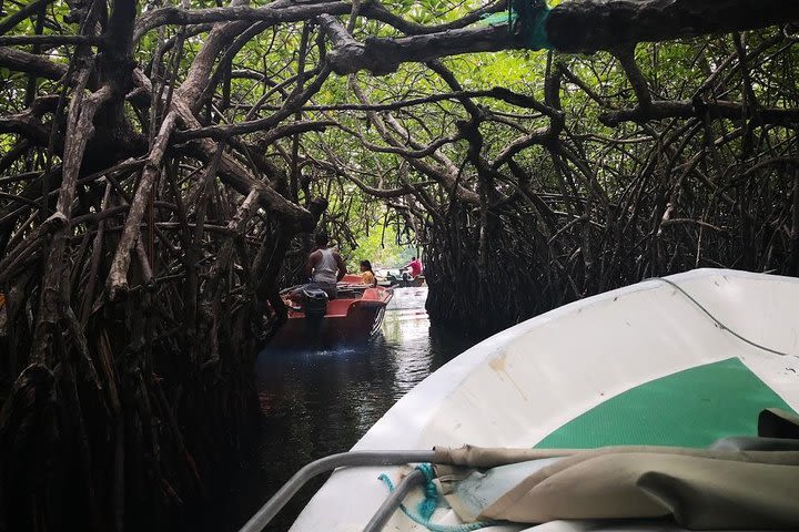 Bentota City Tour from Hikkaduwa image