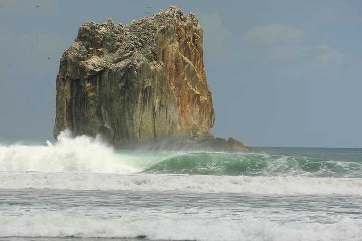 Surf All Day Boat Witches & Ollies image