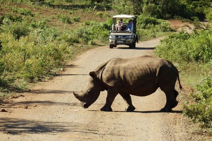 2-Day South African Wildlife and 4x4 Safari Small Group Tour  image