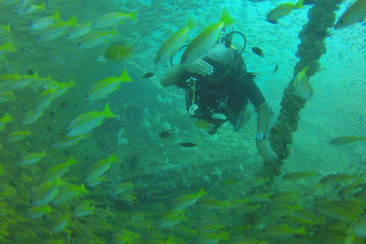 Dive Trip to King Cruiser wreck from Phuket image