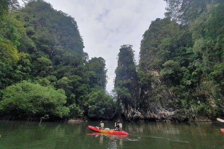 Deep mangrove and canyon Kayak Tour in Krabi  image