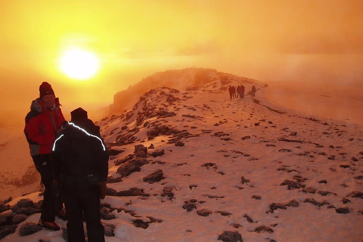  8 Days Private Kilimanjaro Climb Lemosho Route image