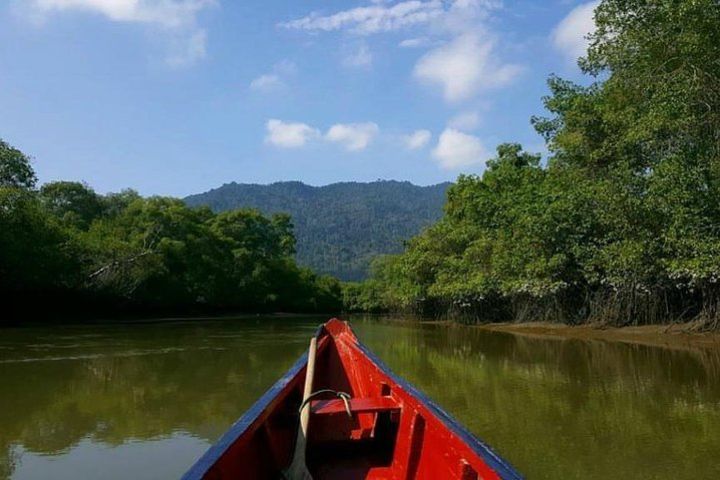 Ecological Reserve Churute Mangrove and Cocoa Farm image