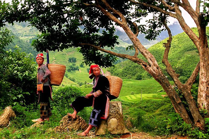 Sapa Easy Trekking Tour 1 Day - Rice Paddies and Cultures image