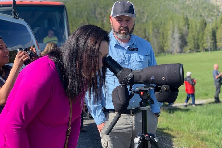 Private Yellowstone Wildlife Sightseeing Tour image