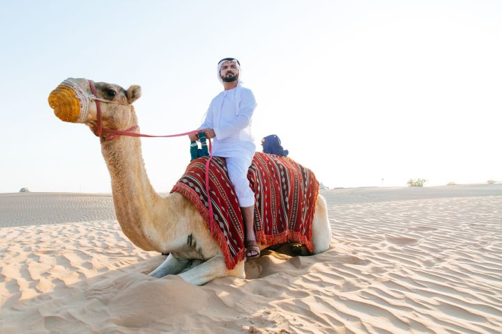 Dubai Desert Safari with Camel Ride and Buffet Dinner image