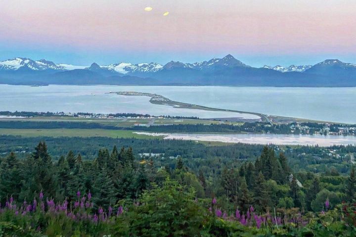 Alaskan Wilderness Wildlife Tour image