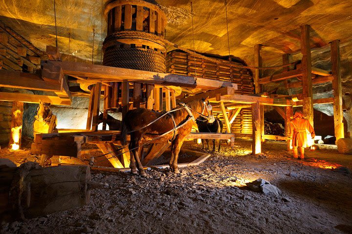 Salt Mine Wieliczka Guided Tour with Private Transport from Krakow image