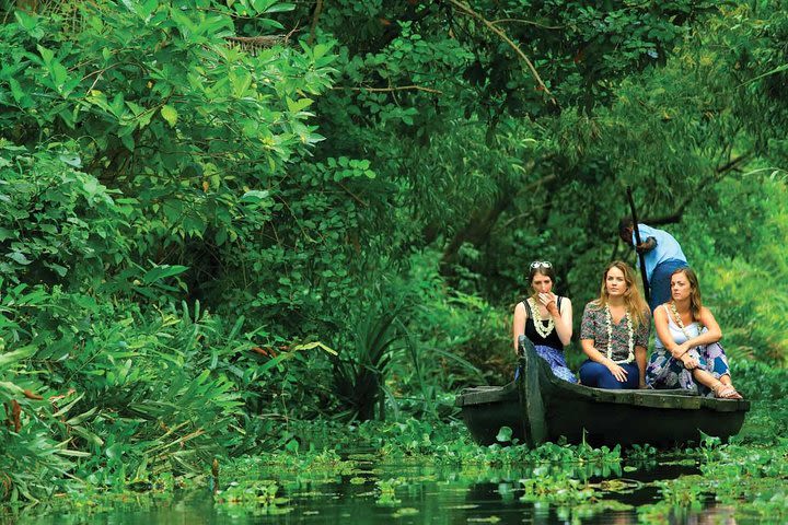 Kochi Shore Excursions- Village Backwater Cruise image