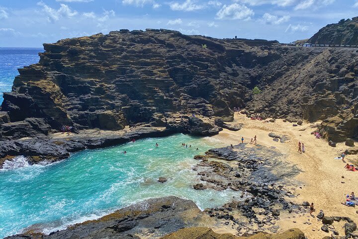 Oahu Island Experience feat. North Shore  image