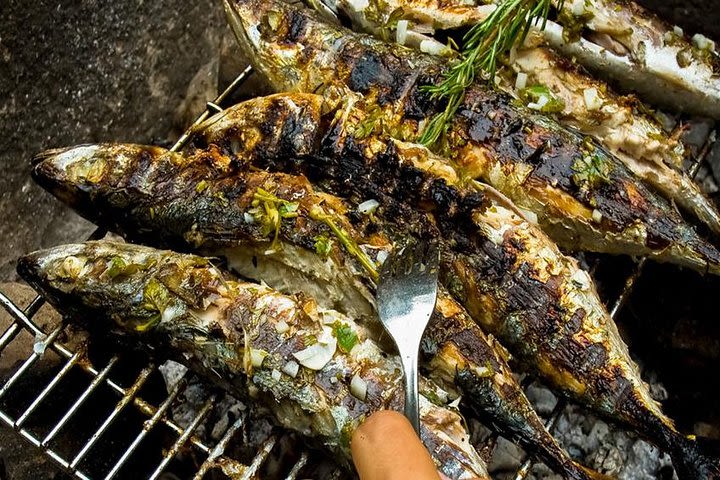 Elaphite Island-Hopping with Fish Picnic Lunch image