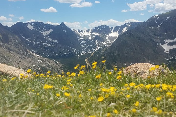 Rocky Mountain National Park in Summer Tour from Denver image