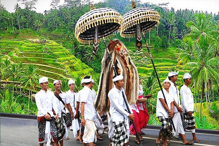 Ubud Nature Tours including Culture, Arts, Temple, Volcano, Rice field & Shows image