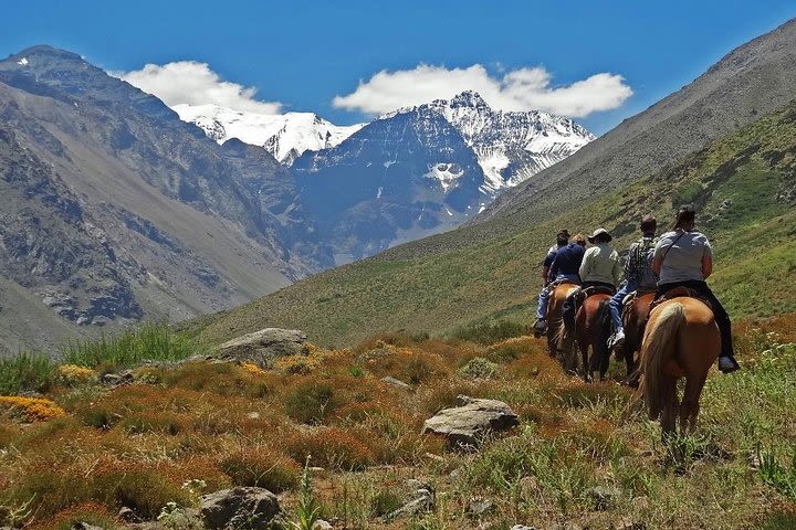 Horseback Riding in the Andes from Santiago image