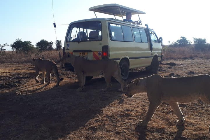 Airport Pick Up To Nairobi National Park / Drop Off image