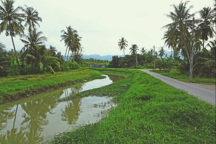 Half-Day Guided Bicycle Tour of Penang Countryside image