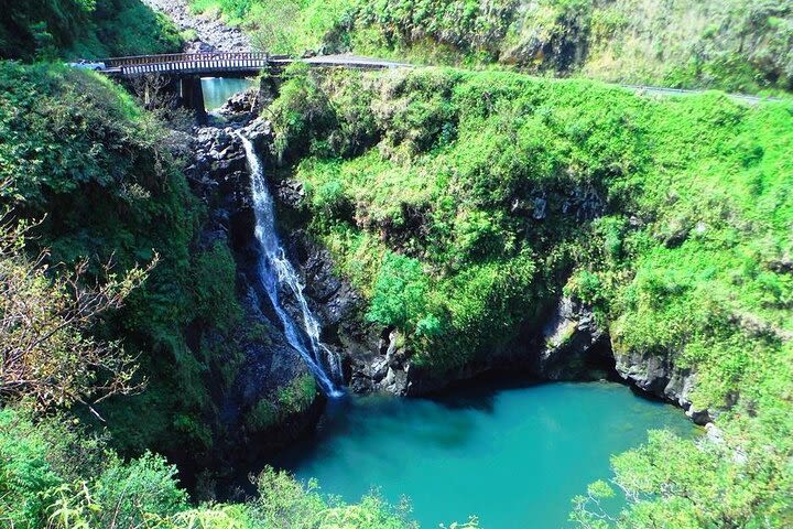 Road to Hana Private Jungle Tour image