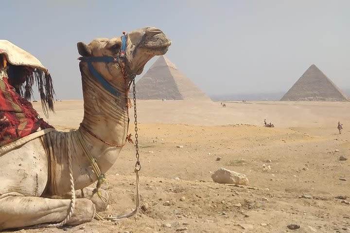 Best Private Tour to the Pyramids,Egyptian Museum & Bazaar& Camel Ride and Lunch image