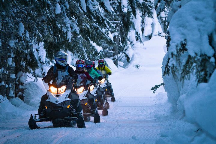 Snowmobile Tours in Whistler image