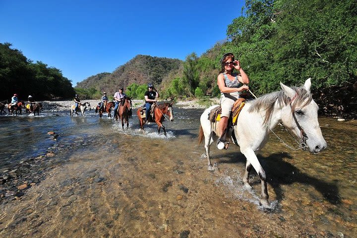 Jungle HorseBack Adventure to Las Palmas Waterfall All Included  image