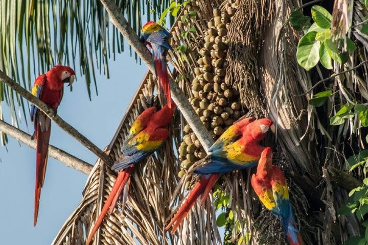 Las Guacamayas and Las Nubes, Montebello Lagoons. 2-Day Tour image