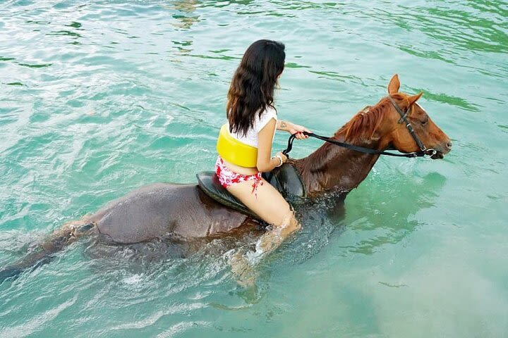 Private Sightseeing, River Tubing, & Horseback Riding from Montego Bay/Falmouth image