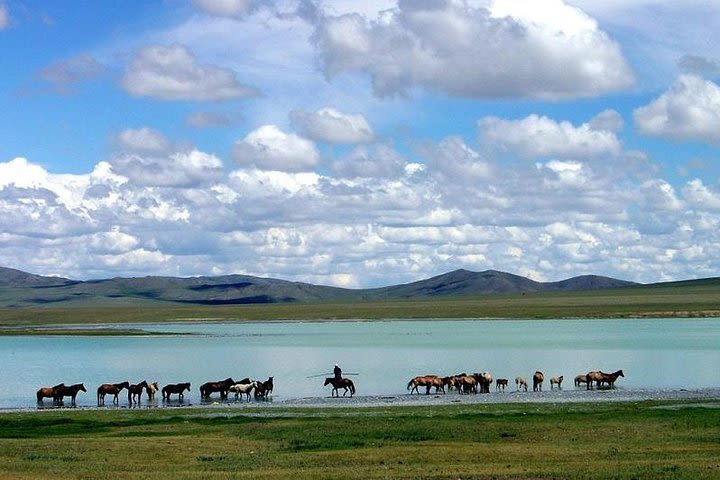 2 Day Gun-Galuut Nature Reserve with HomeStay at Nomadic Family image