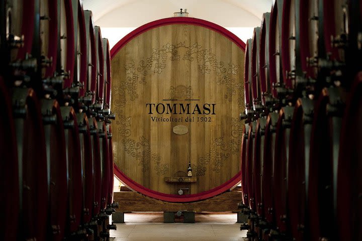 Amarone wine tasting experience at Cantine Tommasi from Verona image