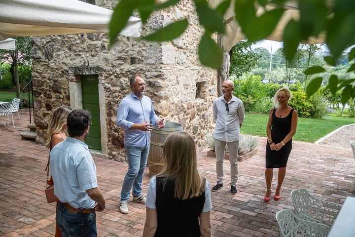 Sensory Experience Amarone Tasting in Lazise image