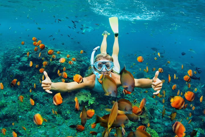 Pattaya Coral Island Tour Adventures with All Water Activities & Lunch)  image