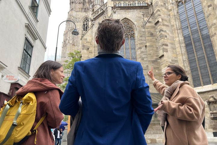 Vienna Cathedral Tower Walking Tour image