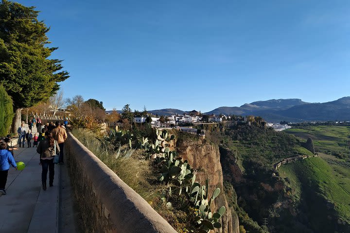 Private visit to Ronda: 2 Hours in the afternoon image