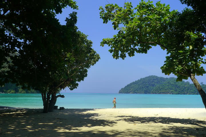 Surin Island Snorkeling by Speedboat from Khao Lak image