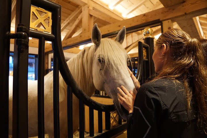 Lipica Stud Farm and Skocjan Caves Half Day Trip from Ljubljana image