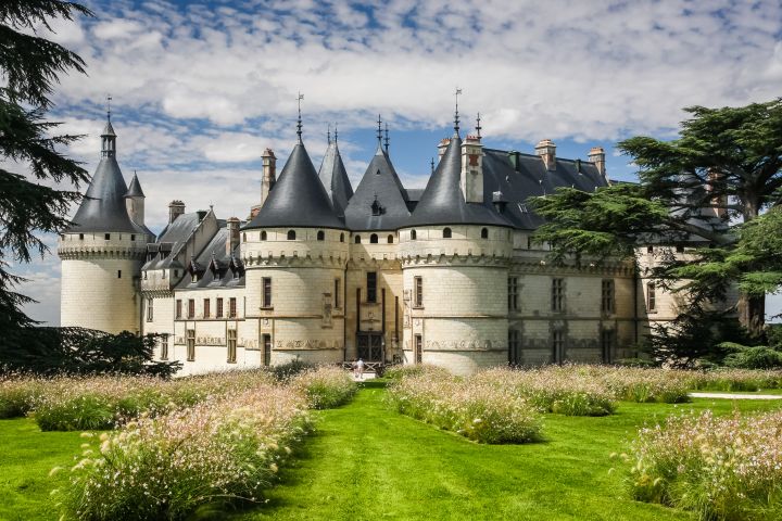 Chaumont and Chenonceau Full Day Trip from Tours (private) image