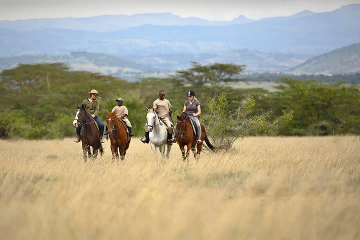 3-Day Luxury Rhino Safari at Solio Ranch & Aberdare National Park 