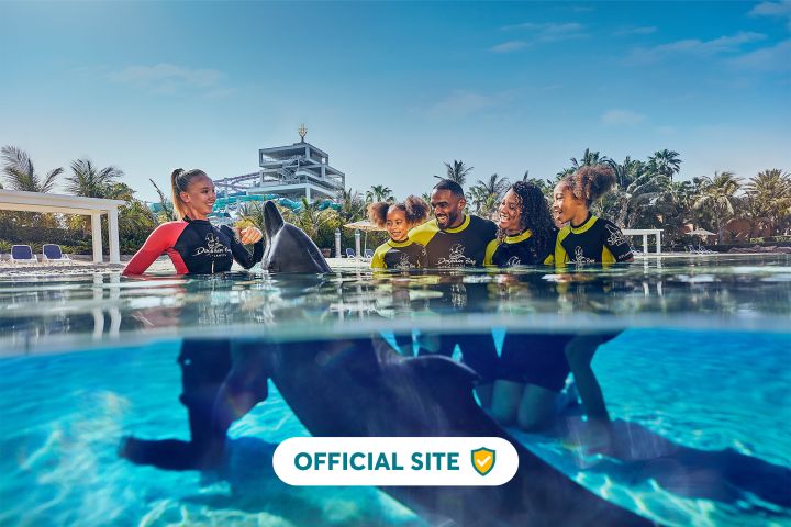 Dolphin Encounter