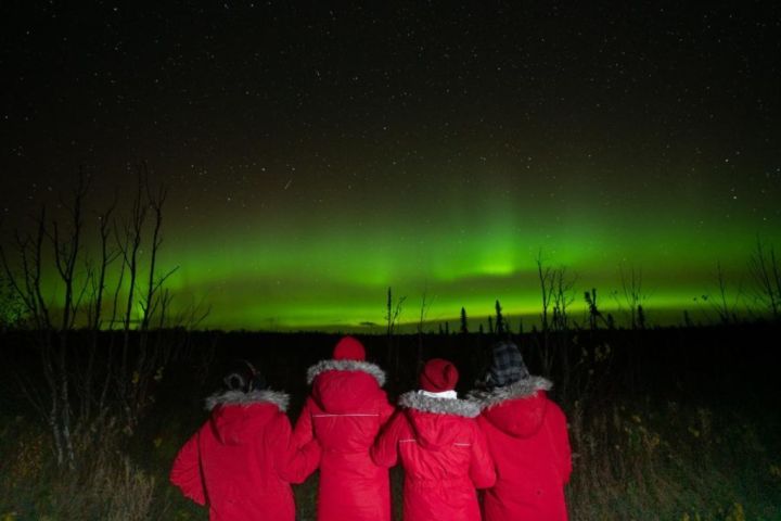 Anchorage Northern Lights Tour - Greatland Adventures